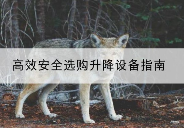 马边升降货梯厂家推荐-*安全选购升降设备指南