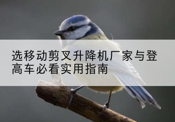 马边电动升降机厂家-选移动剪叉升降机厂家与登高车必看实用指南